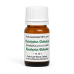 Eucalyptus Globulus