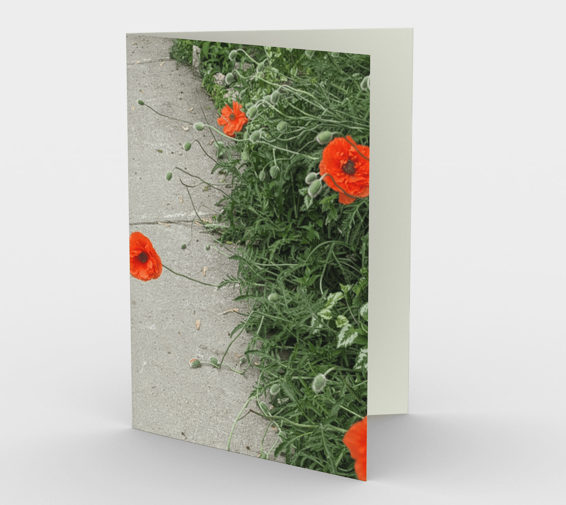 Set of 3 Blank Greeting Cards | 5 x 7 | Peripheral Poppies