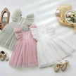 Infant Flying Sleeve Bowknot Girls' Fashion Baby Pettiskirt dress Newborn dresses