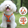 Reflective Soft Mesh Dog & Cat Harness with Leash Set – Blue, Green, Orange, Purple, Red, Grey | S–XL