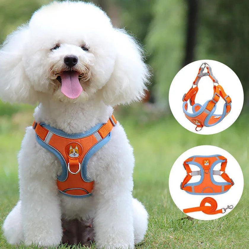 Reflective Soft Mesh Dog & Cat Harness with Leash Set – Blue, Green, Orange, Purple, Red, Grey | S–XL