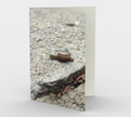 Set of 3 Blank Greeting Cards | 5 x 7 | Snail