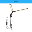 Double-Headed Clip-On Desk Lamp – Eye Protection LED Study Light (Black / White)