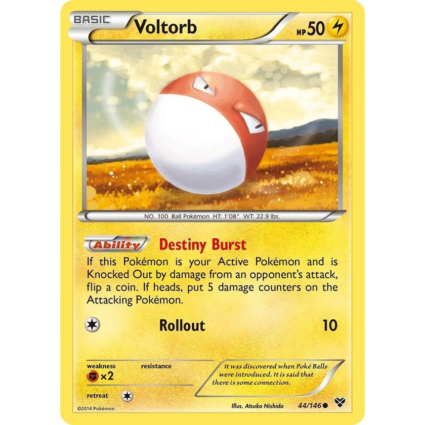 Voltorb (44/146) (XY)