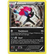 Zoroark - BW19 (BW19) (PR)