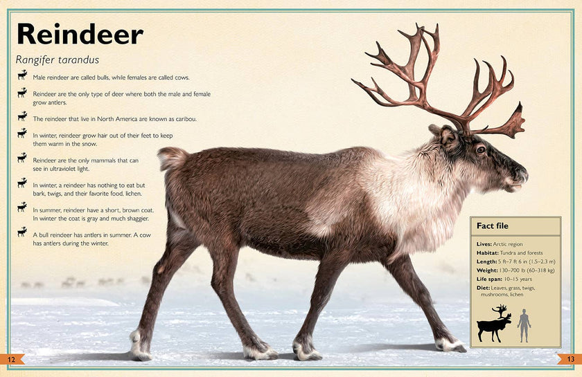 Insight Editions - The Magnificent Book of Animals