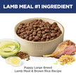 Hill's Science Diet Puppy Large Breed Lamb Meal & Brown Rice Recipe Dry Dog Food 13.6 kg Bag 🍁 All In One Marketplace Canada