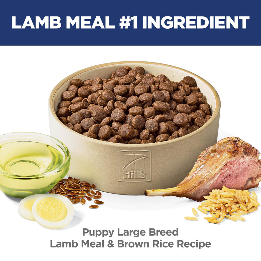 Hill's Science Diet Puppy Large Breed Lamb Meal & Brown Rice Recipe Dry Dog Food 13.6 kg Bag 🍁 All In One Marketplace Canada