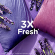 Downy Ultra Soft Fabric Softener Liquid, Calm, Lavender and Vanilla Bean, 3.31L 🍁 All In One Marketplace Canada
