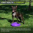 ProsourceFit Core Balance Disc Trainer, 14” Diameter with Pump for Improving Posture, Fitness, Stability 🍁 All In One Marketplace Canada