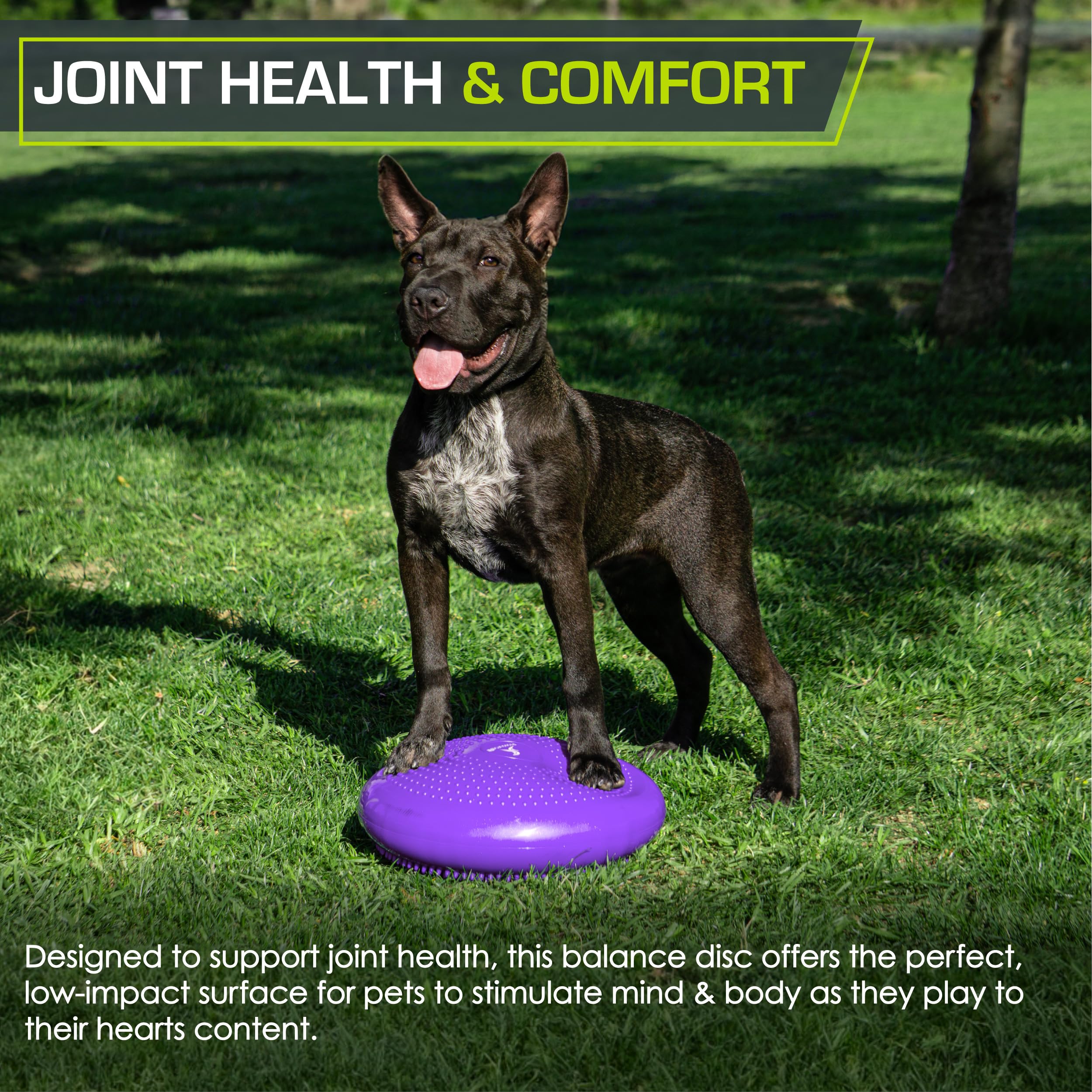 ProsourceFit Core Balance Disc Trainer, 14” Diameter with Pump for Improving Posture, Fitness, Stability 🍁 All In One Marketplace Canada