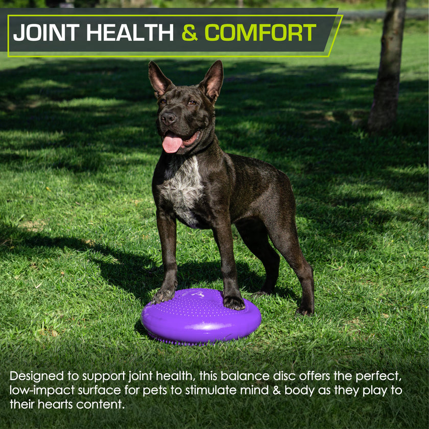 ProsourceFit Core Balance Disc Trainer, 14” Diameter with Pump for Improving Posture, Fitness, Stability 🍁 All In One Marketplace Canada