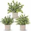 Der Rose 3 Pack Mini Potted Fake Plants Artificial Plastic Eucalyptus Plants for Home Office Desk Farmhouse Room Decor Indoor 🍁 All In One Marketplace Canada