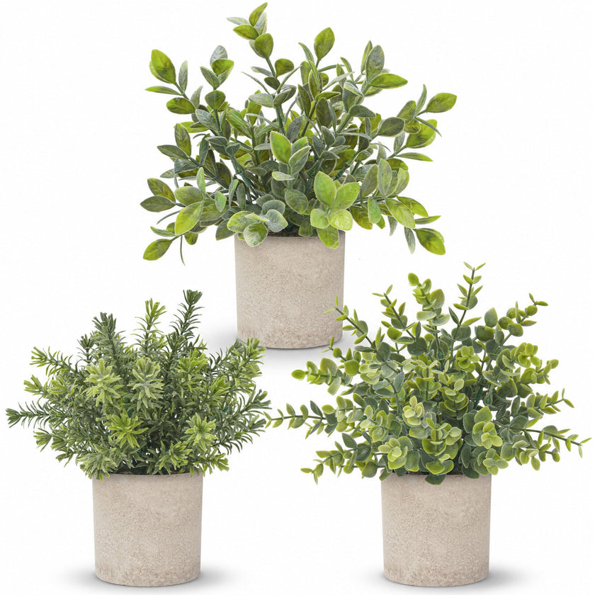 Der Rose 3 Pack Mini Potted Fake Plants Artificial Plastic Eucalyptus Plants for Home Office Desk Farmhouse Room Decor Indoor 🍁 All In One Marketplace Canada