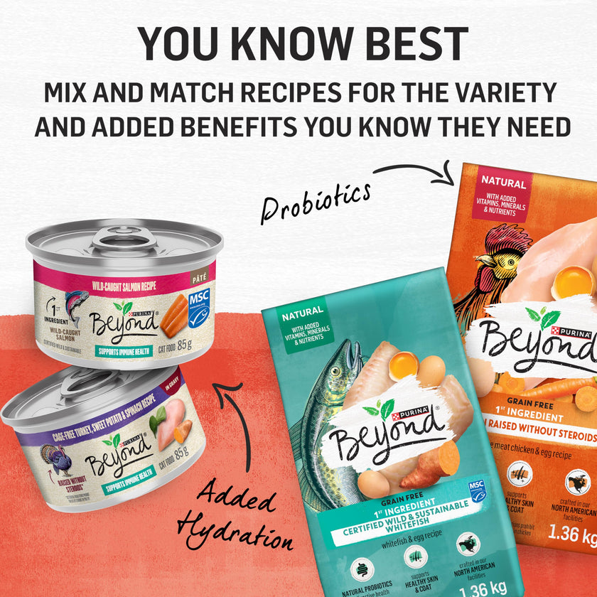 Beyond Simply Natural Dry Cat Food, Salmon & Whole Brown Rice - 2.72 kg Bag 🍁 All In One Marketplace Canada