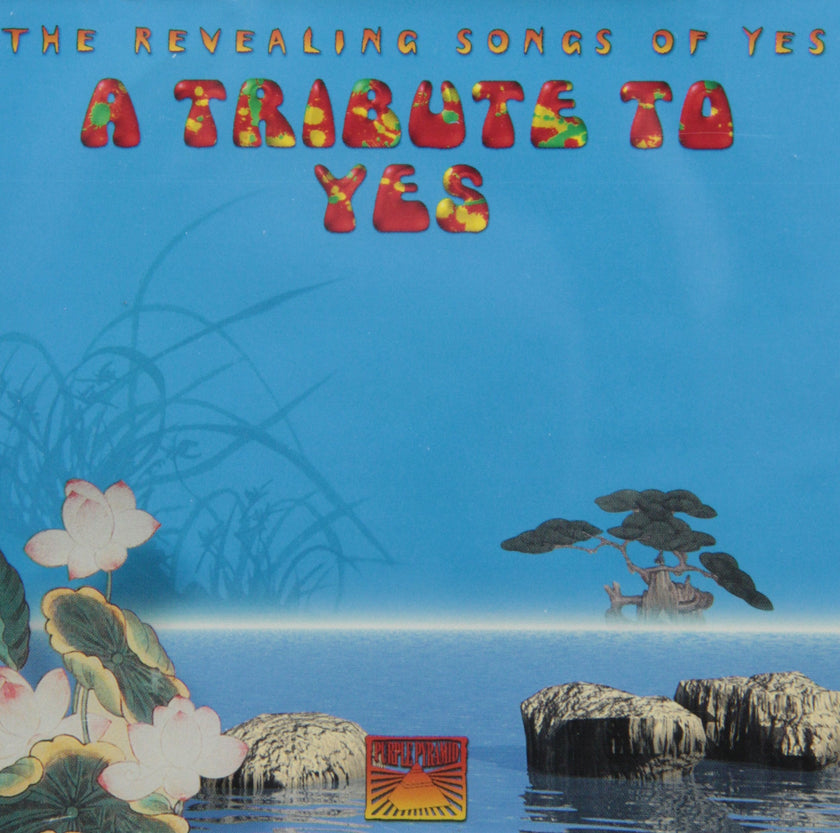 A Tribute to Yes