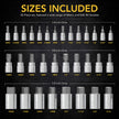 LEXIVON Master HEX Bit Socket Set, Premium S2 Alloy Steel | Complete 32-Piece, SAE and Metric Set | Enhanced Storage Case (LX-144) 🍁 All In One Marketplace Canada