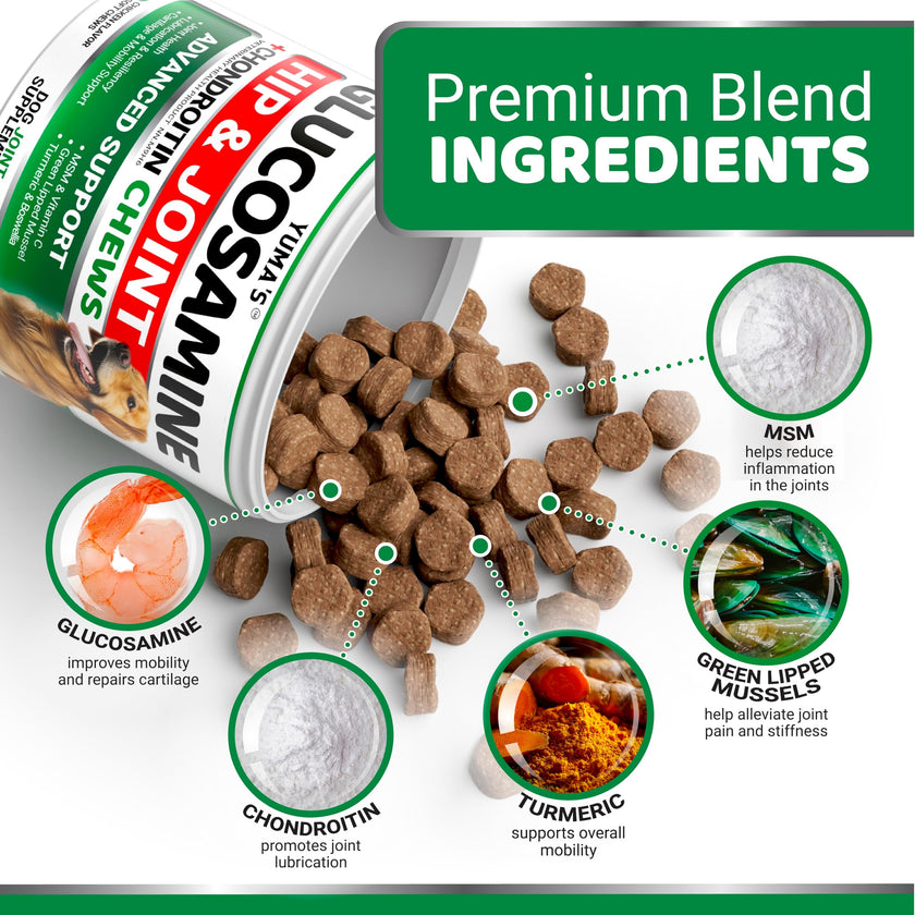 Glucosamine for Dogs - 165 Chews - Hip and Joint Supplement for Dogs - Glucosamine Chondroitin Chews - Joint Pain Relief Supplement with MSM - Advanced Health - Mobility Support - Made in USA 🍁 All In One Marketplace Canada