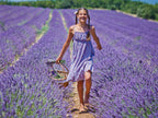 Pura Aide Lavender Sachets Pre-Filled for Refreshing Drawers Closets Dressers Shoe Boxes Wedding Toss Home Fragrance Fresh Scents (Pack of 22) 🍁 All In One Marketplace Canada