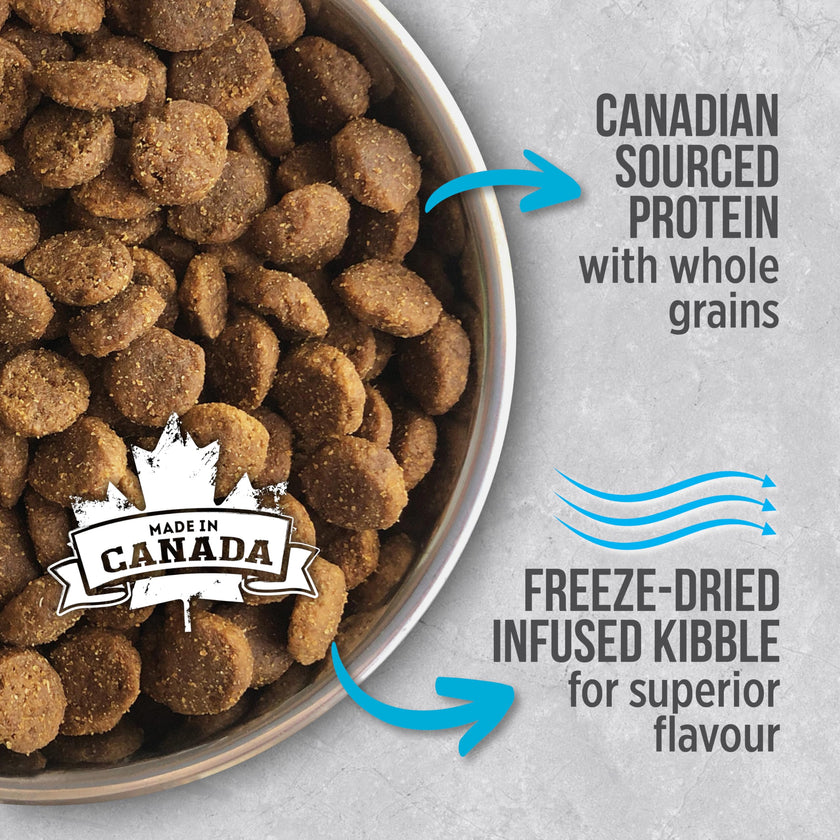 Nutrience Infusion Healthy Adult Dog Food, 10 kg (22 lb), Fresh Canadian Ocean Fish, Dry Dog Food, Nourriture Pour Chien, Manger Pour Chien 🍁 All In One Marketplace Canada