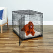 MidWest Homes for Pets 42-Inch New World Crate for Large Breeds, 71-90 lbs, Single Door Folding Dog Crate, Leak-Proof Tray & Secure Latch, Portable, Durable & Easy to Assemble 🍁 All In One Marketplace Canada