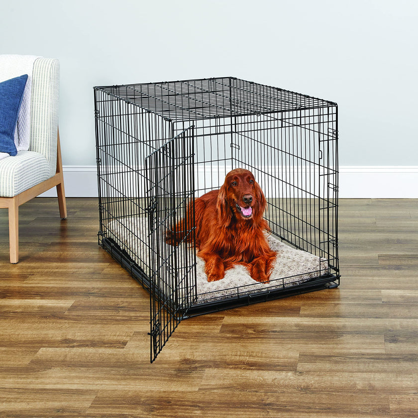 MidWest Homes for Pets 42-Inch New World Crate for Large Breeds, 71-90 lbs, Single Door Folding Dog Crate, Leak-Proof Tray & Secure Latch, Portable, Durable & Easy to Assemble 🍁 All In One Marketplace Canada
