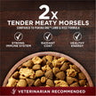 Purina ONE True Instinct Dry Dog Food, Salmon & Tuna 12.4kg 🍁 All In One Marketplace Canada