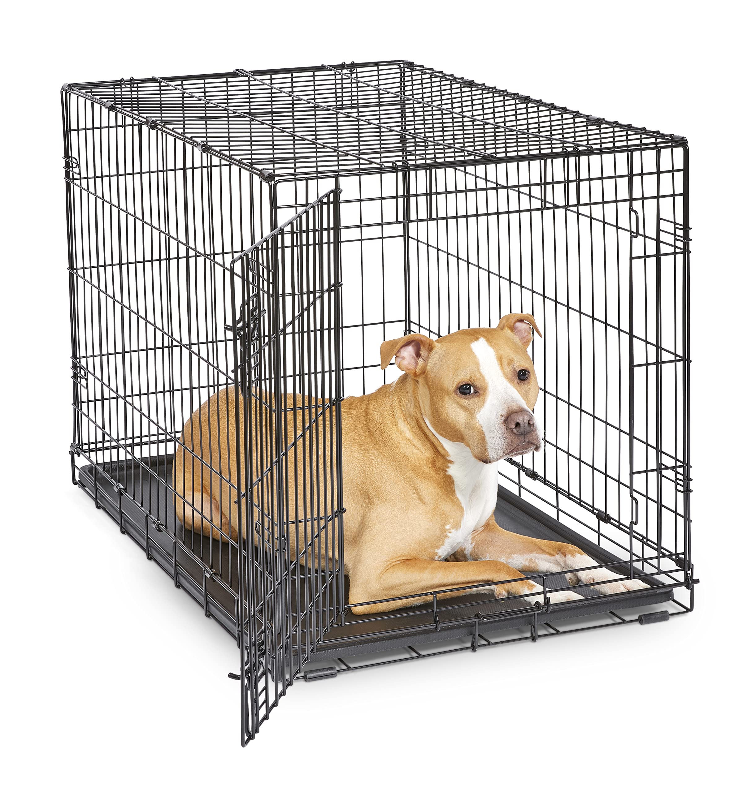 MidWest Homes for Pets 36-Inch New World Crate for Medium-Large Breeds, 41-70 lbs, Single Door Folding Dog Crate, Leak-Proof Tray & Secure Latch, Portable, Durable & Easy to Assemble 🍁 All In One Marketplace Canada