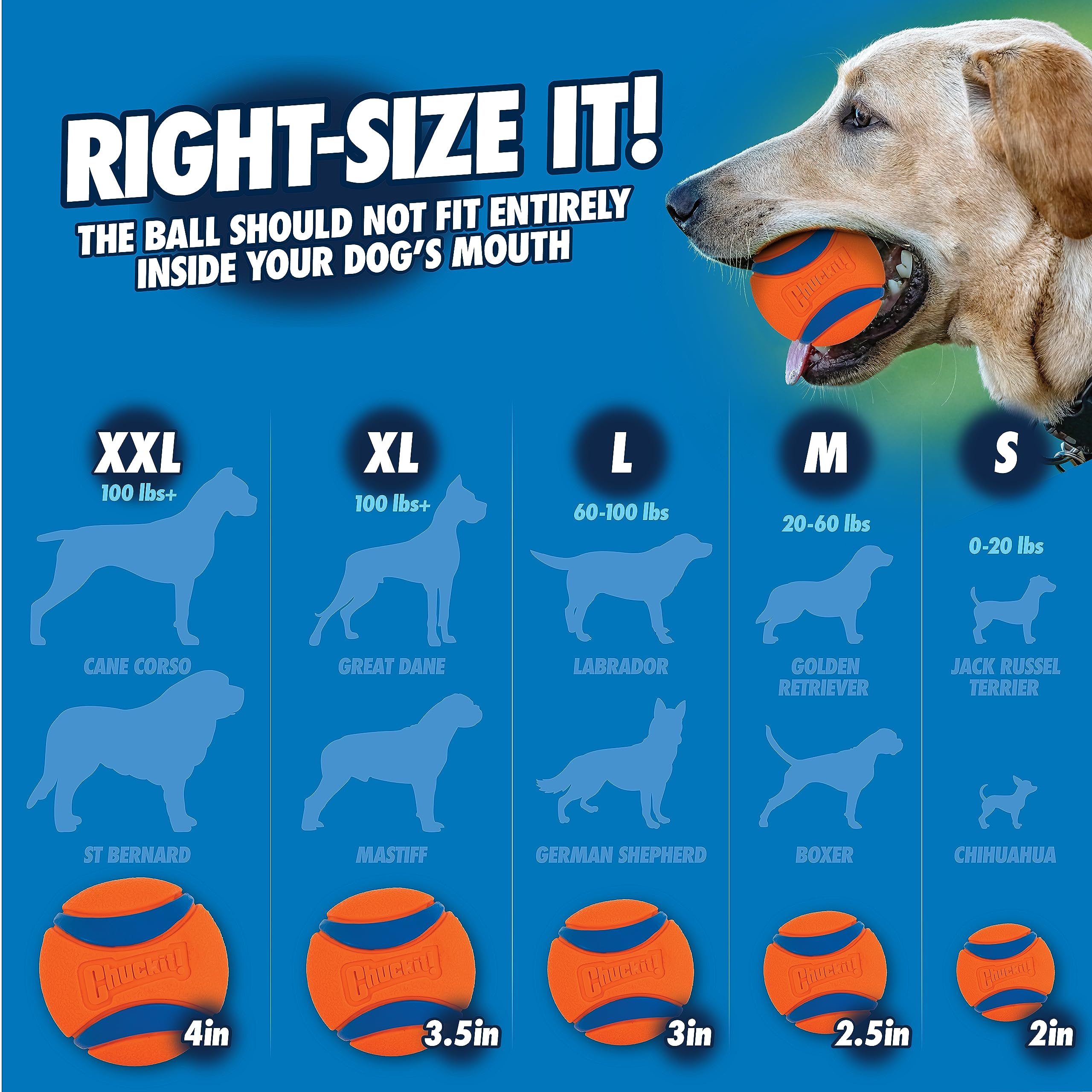 Chuckit! Fetch & Fold Launcher 25M, Compact Ball Launcher 🍁 All In One Marketplace Canada
