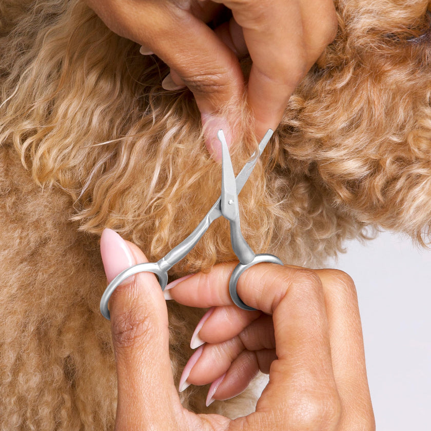 Tweezerman Dog and Cat Stainless Steel Safety Tip Grooming Scissors 🍁 All In One Marketplace Canada