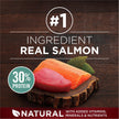 Purina ONE True Instinct Dry Dog Food, Salmon & Tuna 12.4kg 🍁 All In One Marketplace Canada
