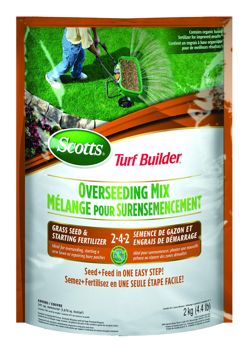 Scotts Turf Builder Overseeding Mix Grass Seed & Starting Fertilizer 2-4-2, 2kg (341 sq Meters / 3,670 sq feet Coverage) | Repair Thin Lawns, Fast Germination, Strong Roots 🍁 All In One Marketplace Canada