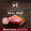 Purina ONE True Instinct High Protein Dry Dog Food, Beef & Salmon - 12.4 kg Bag (1 Pack) 🍁 All In One Marketplace Canada