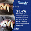 bluestem Dental Care Water Additive for Dogs & Cats – No Brushing Daily Teeth Cleaner – Pet Oral Rinse to Freshen Breath & Help Reduce Plaque – Flavorful & Easy Oral Hygiene (500 ml, Original) 🍁 All In One Marketplace Canada