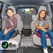 Diono Solana 2022, No Latch, Pack of 2 Backless Booster Car Seats, Lightweight, Machine Washable Covers, Cup Holders, Black Charcoal 🍁 All In One Marketplace Canada