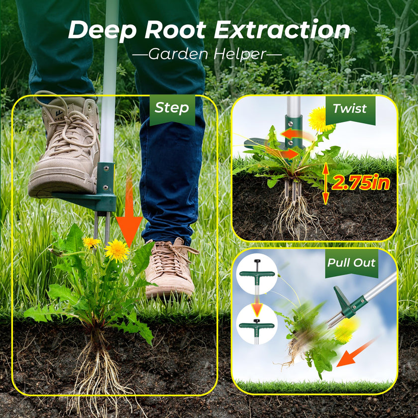 Walensee Weed Puller, Stand Up Weeder Hand Tool, Long Handle Garden Weeding Tool with 3 Claws, Hand Weed Hound Weed Puller for Dandelion, Standup Weed Root Pulling Tool and Picker, Grabber (1 Pack) 🍁 All In One Marketplace Canada