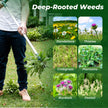 Walensee Weed Puller, Stand Up Weeder Hand Tool, Long Handle Garden Weeding Tool with 3 Claws, Hand Weed Hound Weed Puller for Dandelion, Standup Weed Root Pulling Tool and Picker, Grabber (1 Pack) 🍁 All In One Marketplace Canada