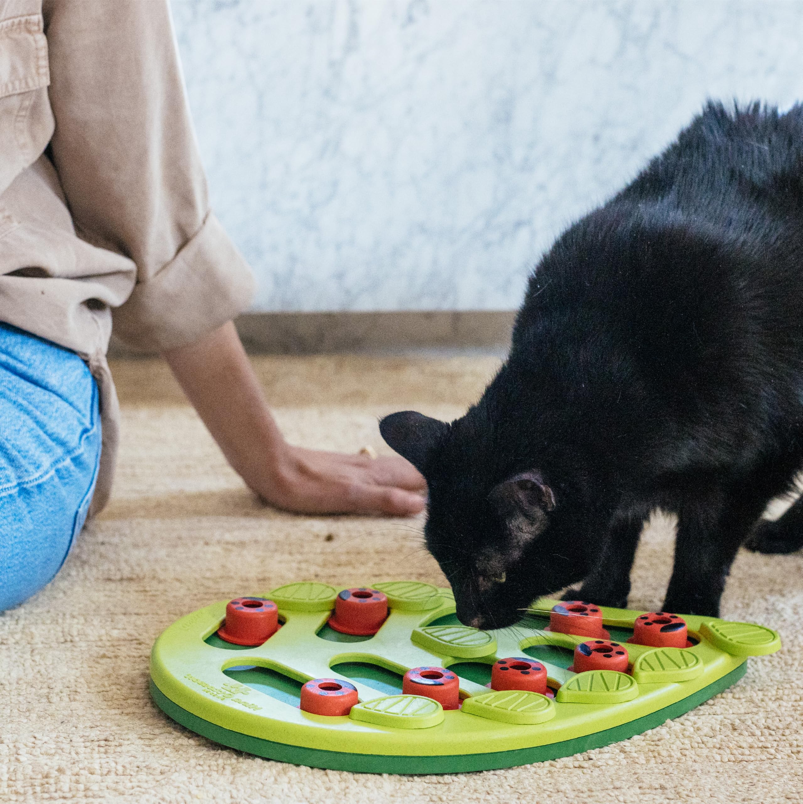 Catstages Buggin' Out Puzzle & Play, Interactive Treat Puzzle Cat Toy, Green 🍁 All In One Marketplace Canada