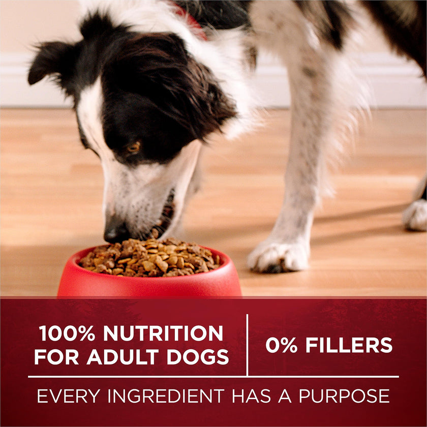 Purina ONE True Instinct High Protein Dry Dog Food, Turkey & Venison - 12.4 kg Bag (1 Pack) 🍁 All In One Marketplace Canada