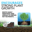 Fluval 12697 Plant and Shrimp Stratum, 8.8-Pound, Black 🍁 All In One Marketplace Canada