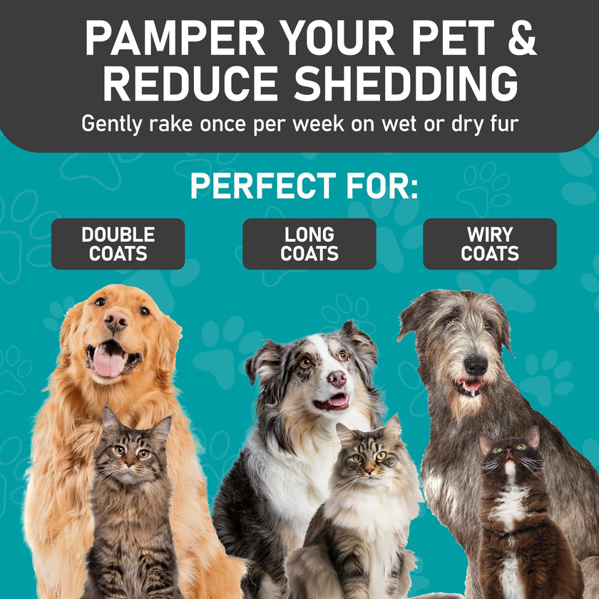 Maxpower Planet Pet Grooming Brush - Double Sided Shedding, Dematting - Undercoat Rake for Dogs - Dog Grooming Brush - Deshedding Brush for Dogs - Dog Brush, Cat Brush, Reduce Shedding by 95%, Purple 🍁 All In One Marketplace Canada