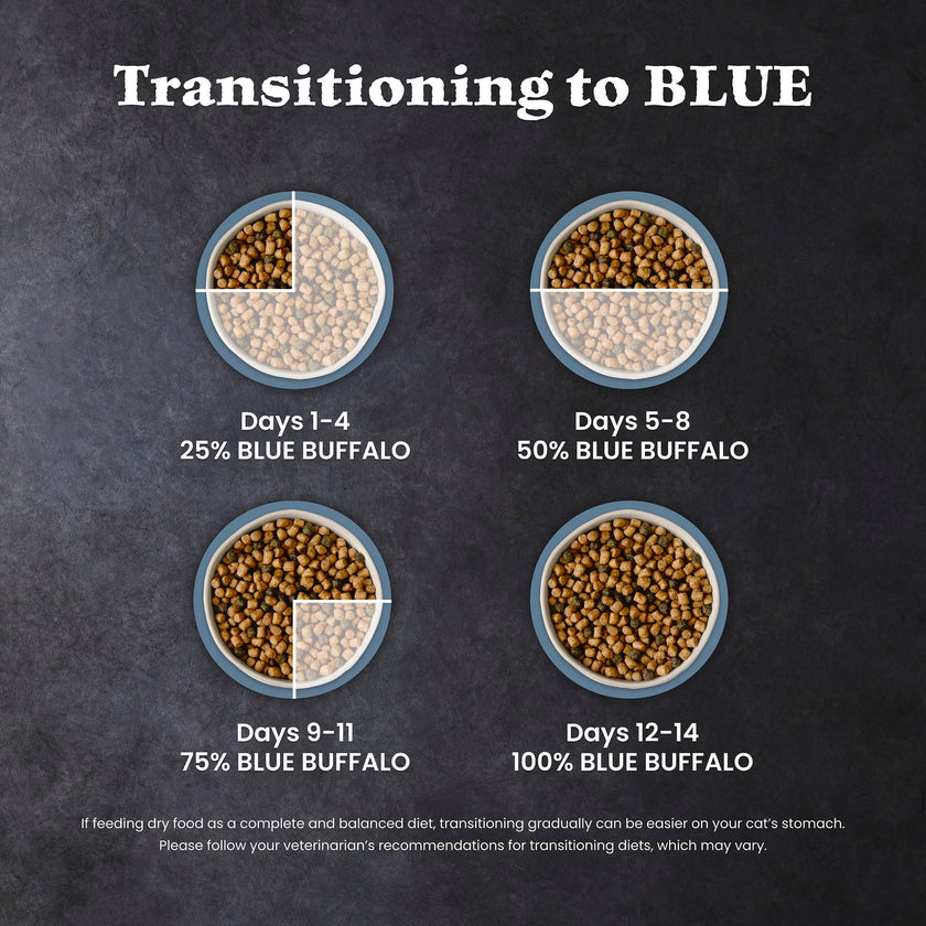 Blue Buffalo Wilderness with Salmon Natural High-Protein Grain-Free Dry Food for Adult Cats, Real Salmon First, Antioxidant-Rich LifeSource Bits Support Immunity, Promotes Strong Muscles,11 lbs. 🍁 All In One Marketplace Canada