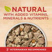 Purina ONE Wet Dog Food, Tender Cuts in Gravy Lamb & Rice 368g (12 Pack) 🍁 All In One Marketplace Canada