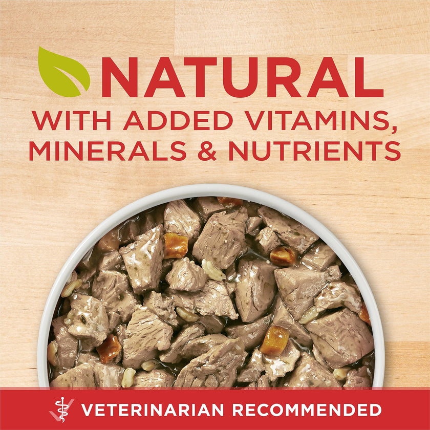 Purina ONE Wet Dog Food, Tender Cuts in Gravy Lamb & Rice 368g (12 Pack) 🍁 All In One Marketplace Canada