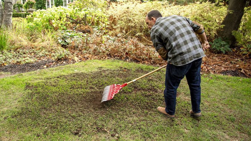 Scotts Turf Builder Quick & Thick Grass Seed, 1.2kg (173 sq Meters / 1,863 sq feet Coverage) | Grow a Thick, Green Lawn Fast. for Areas that Experience Sun & Shade 🍁 All In One Marketplace Canada