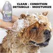Wahl USA 4-in-1 Calming Pet Shampoo for Dogs with a Lavender Chamomile Scent – Cleans, Conditions, Detangles, & Moisturizes - Pet Friendly Formula – 64 Oz - Model 821000-050 🍁 All In One Marketplace Canada