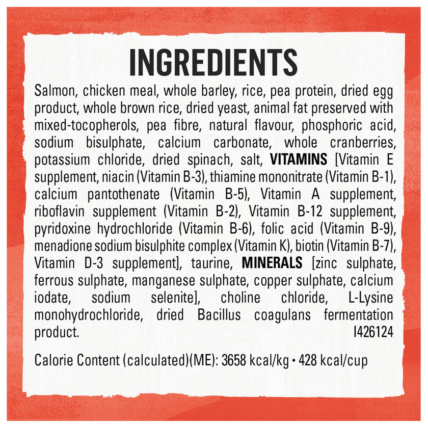 Beyond Simply Natural Dry Cat Food, Salmon & Whole Brown Rice - 2.72 kg Bag 🍁 All In One Marketplace Canada