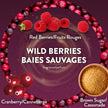 Air Wick Plug In Scented Oil Air Freshener for Home – Infused with Essential Oils, Adjustable Fragrance Control – Wild Berries Scent – Includes 2 Warmers & 5 Refills 🍁 All In One Marketplace Canada