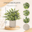 Der Rose 3 Pack Mini Potted Fake Plants Artificial Plastic Eucalyptus Plants for Home Office Desk Farmhouse Room Decor Indoor 🍁 All In One Marketplace Canada