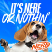 Nerf Dog Tennis Ball Blaster Dog Toy with 1 Ball, 16 in, Blue/Orange 🍁 All In One Marketplace Canada